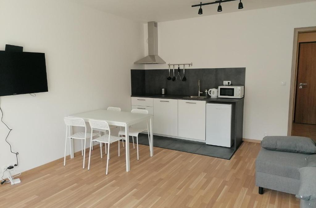 Palmovka Apartment | Brand new studio apartment #62 with free secure parking in the center