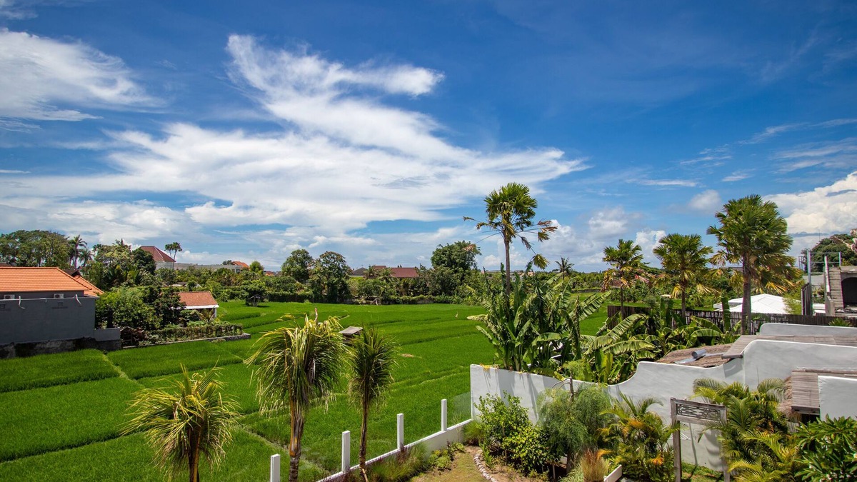 Umalas Villa | Brand new villa - Ricefield View, Canggu + Rooftop