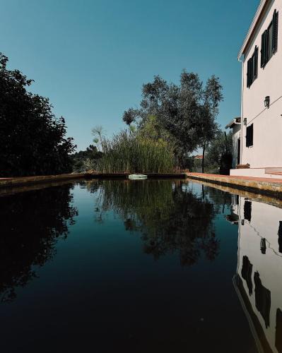 Tomar Apartment | Breakfast Under A Tree - Apartamento and Farmhouse