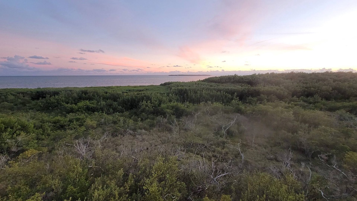 Tavernier Condo | Breathtaking Ocean views! Owners who care. “Sangria Sunrise”! 10% off charters!