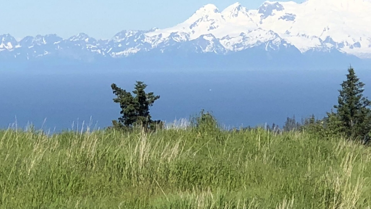 Homer Cabin | Breathtaking View and Tranquility: A Rustic -Lovely Homer Experience