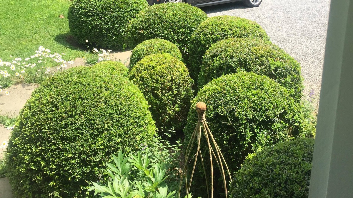 Bridgehampton Cottage | Bridgehampton South Garden Cottage