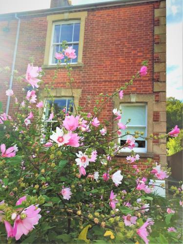 Bridport House | Bridport Garden Suite