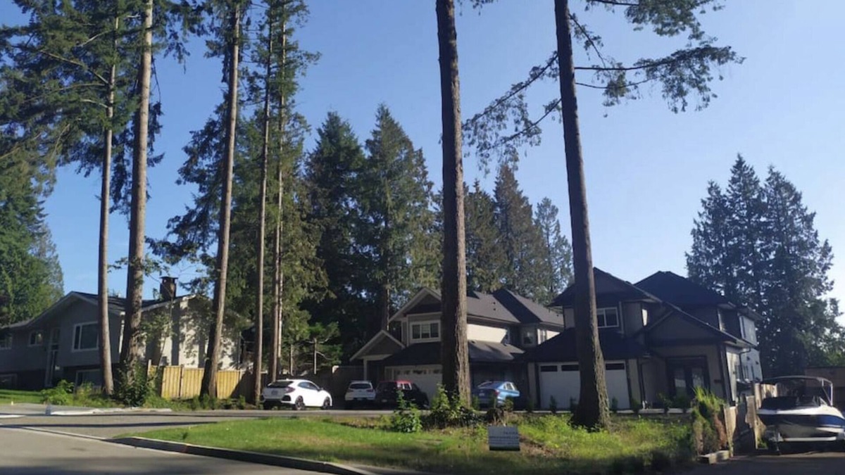 Coquitlam House | Bright and Spacious 2 Bedroom Suite in a New House