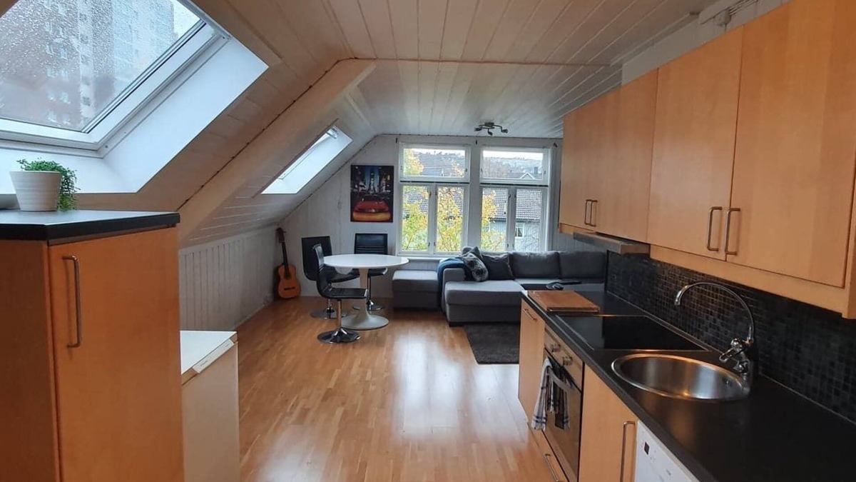 Trondheim Apartment | Bright and Spacious Apartment with Free Parking