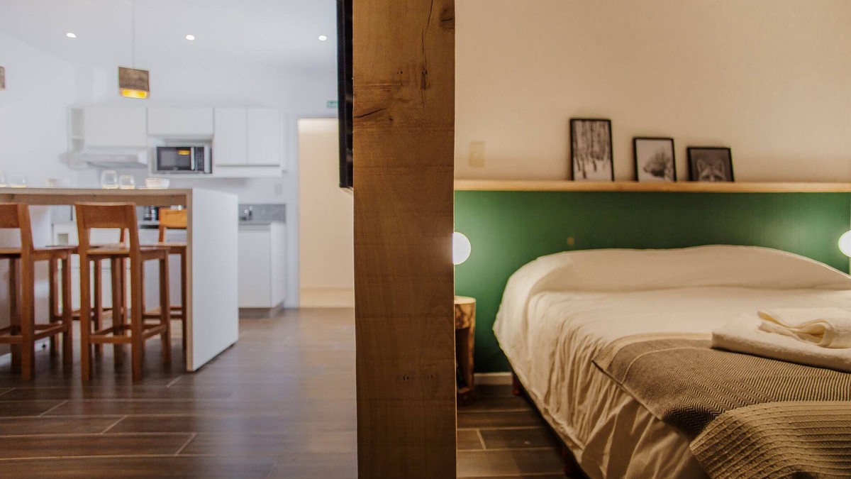 Province of Tierra del Fuego Apartment | Bright studio with moutains view. SPA Included! - TUREK RESIDENCES