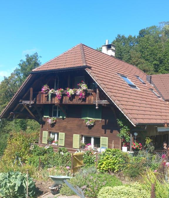 Diessbach Apartment | Bright, sunny holiday apartment on the farm