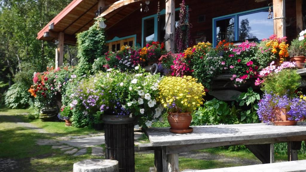 Kachemak Bed & Breakfast | Brigitte's Bavarian Bed und Breakfast
