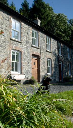 Llanwrtyd Wells House | Bronfelin & Troed-y-Rhiw Holiday Cottage