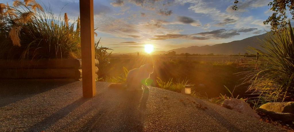 Kaikoura Bed & Breakfast | Brook House B&B & Cottages