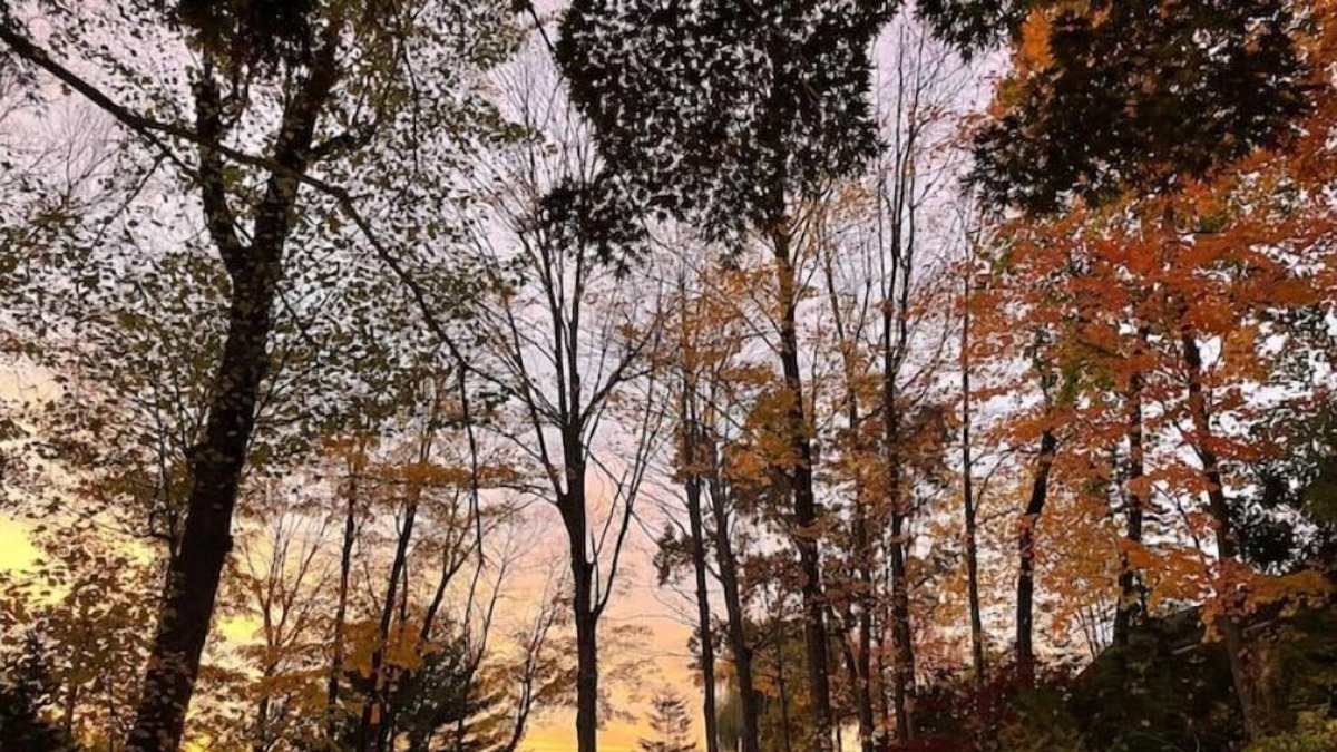 Briarcliff Manor Apartment | Brookside Briarcliff Guest Suite