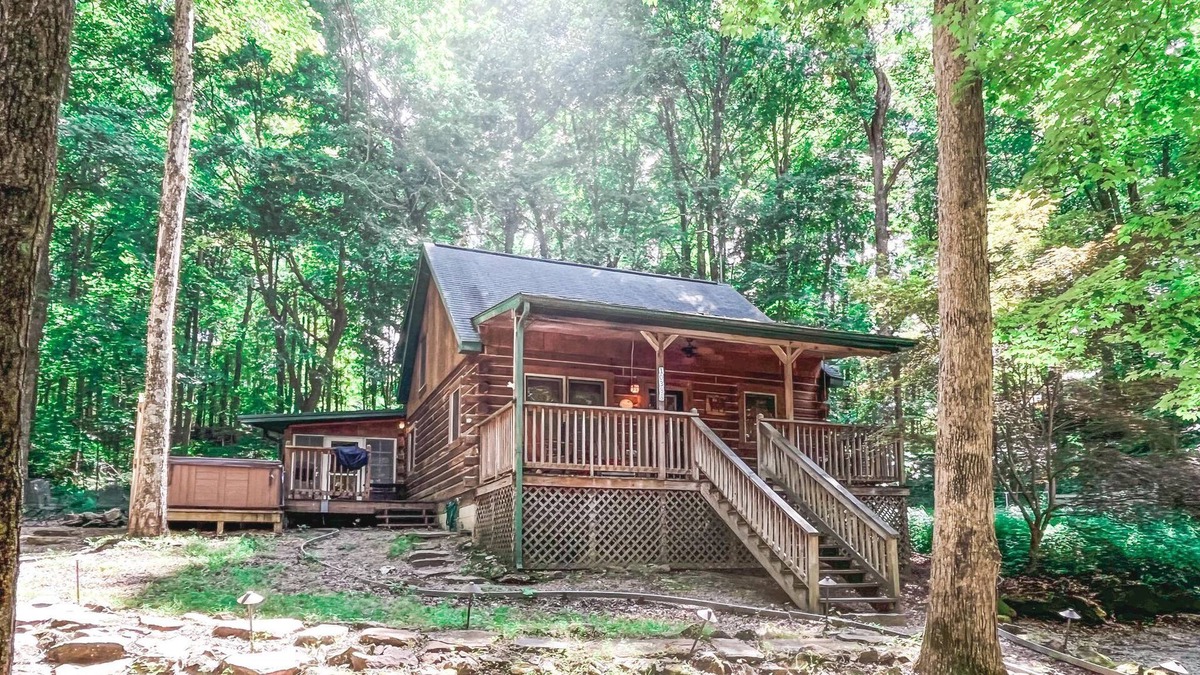 Birdseye Cabin | Brown Bear Cabin w/ wifi, free park pass & HOT TUB!