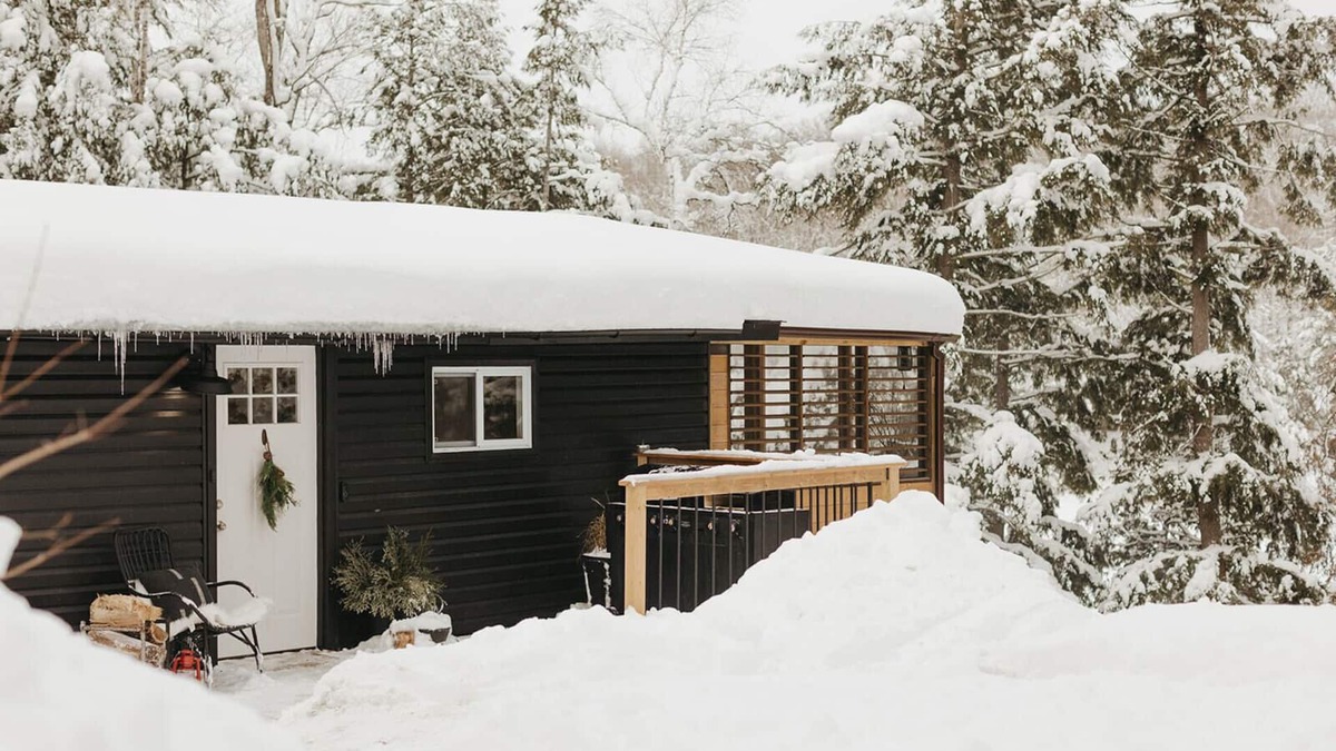 Algonquin Highlands Cottage | Brownbark Cottage | Retreat Secluded Lakefront Hideaway in a Secluded Forest