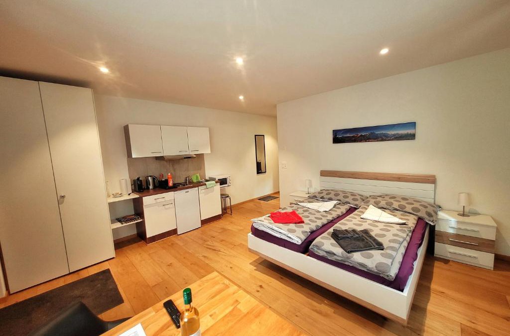 Ernen Apartment | Brunnematta