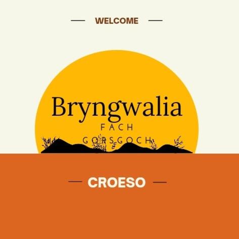 Llanybydder Apartment | Bryngwalia Fach