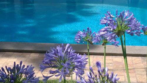 Anzio Bed & Breakfast | BUBA BnB SUPERIOR