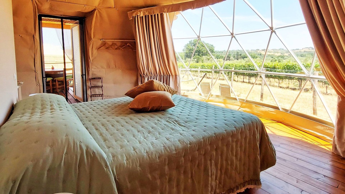 Suvereto Other | Bubble Room with a view of Tuscan vineyards | Le Stelle di Elisa - Wine Truffle Glamping