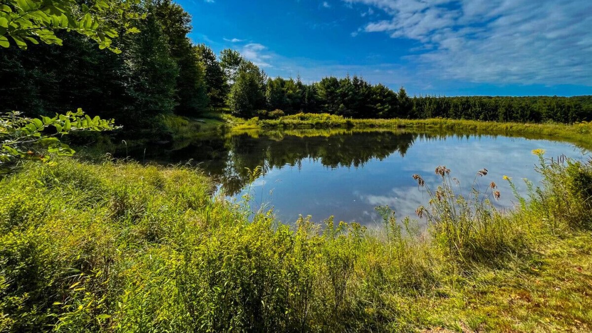 Bloomville House | Bucolic 3BR home with Guest Cabin and Pond on 20+ Acres of Sublime Privacy