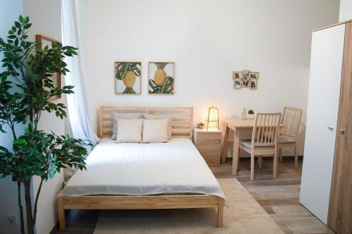Vizivaros Apartment | Buda Central Mini Studios