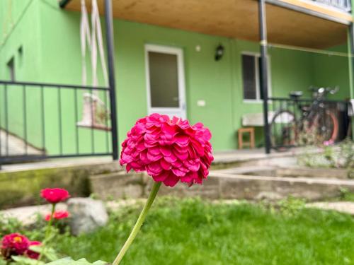 Akhali Ubani Apartment | Buddy Apartment Borjomi