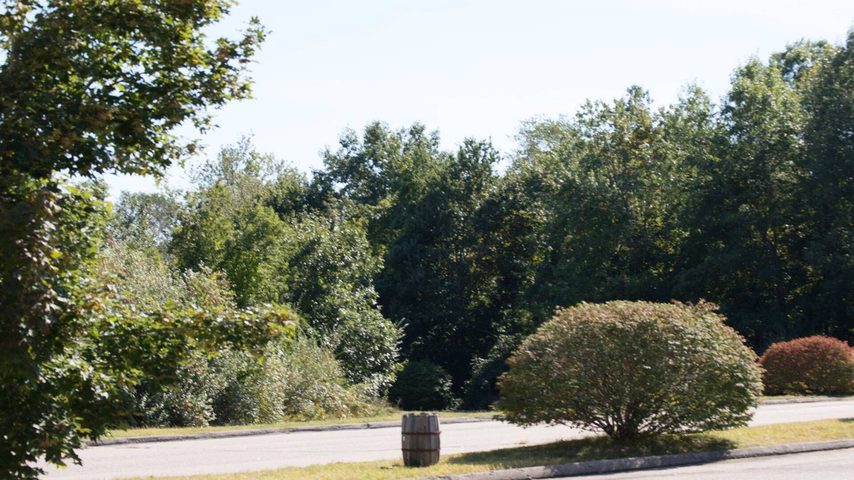 North Stonington Hotel | Budget Inn North Stonington