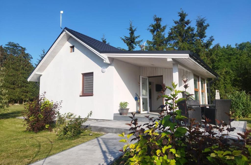 Kolczewo House | Budlejowy domek