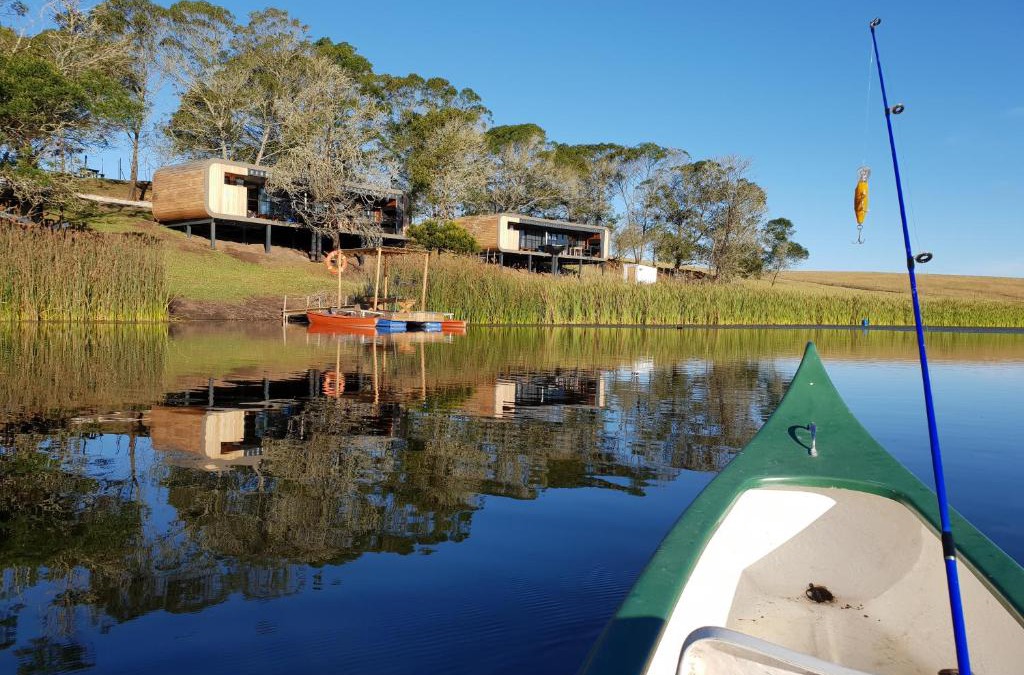 George Cabin | Buff & Fellow Eco Cabins