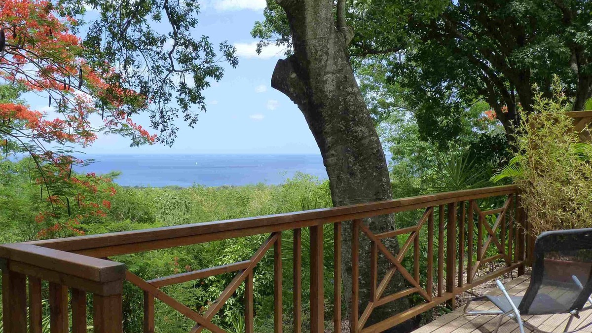 Vieux-Habitants House | Bungalow hibiscus