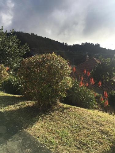 Ponta do Pargo Ski Chalet | Bungalows Do Amparo
