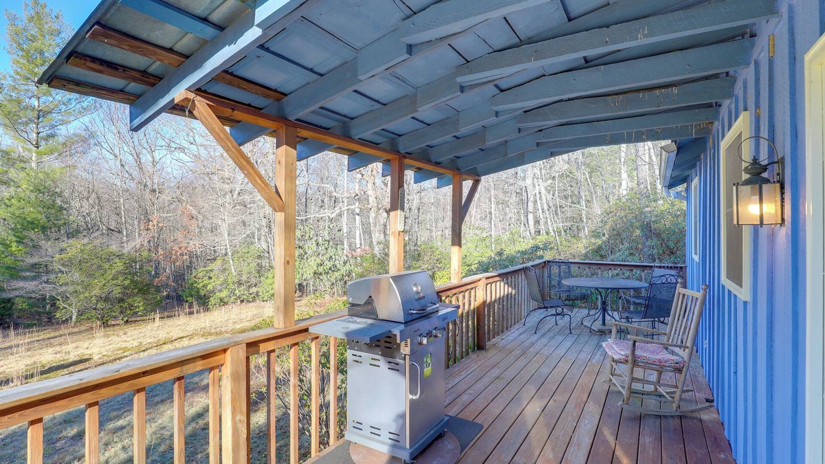 Burnsville Cottage | Burnsville Cabin w/Deck & Trails - Dog Friendly!