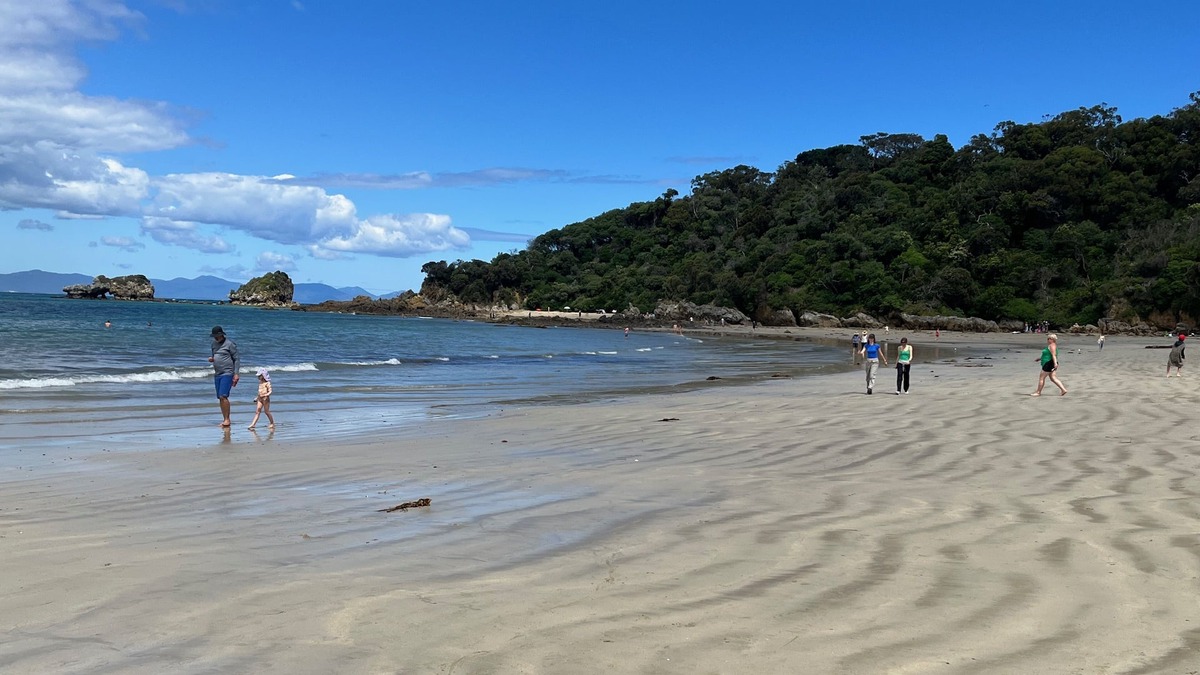 Walkerville House | Bush and beach retreat