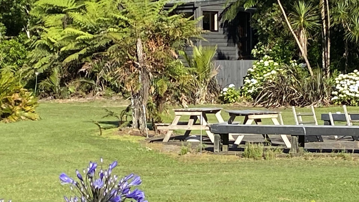 Whangamata Cabin | Bush Edge Studio