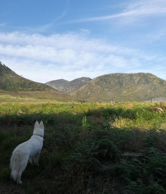 Storms River House | Bushman's Pillow