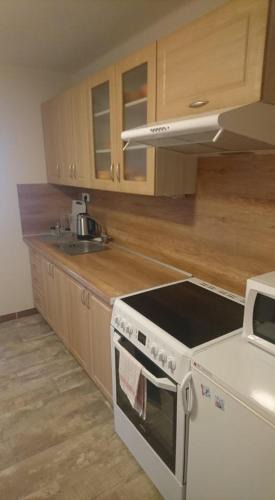 Zamberk Apartment | Business apartmán