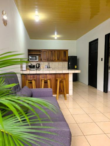 Barrio Dora Apartment | Butterfly Apartments