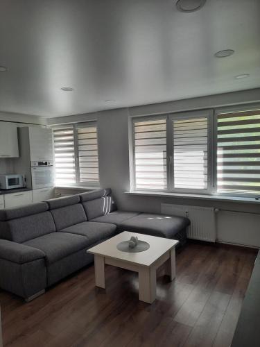 Anyksciai Apartment | Butukas