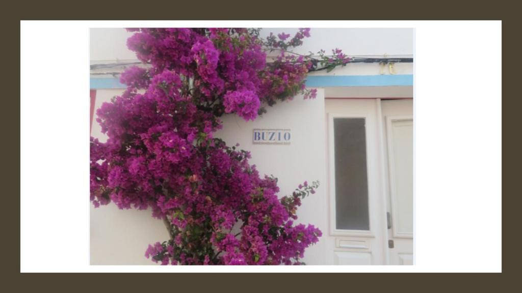 Vila do Bispo House | Buzio