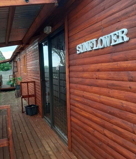 Brakpan Apartment | BuzzzBee Sunflower overnight