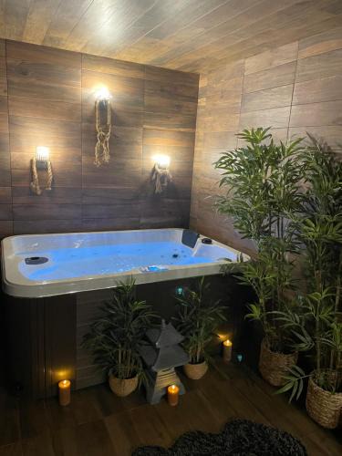 Boissy-Saint-Leger Apartment | BY NEPTUNE - Appartement BALI Jacuzzi