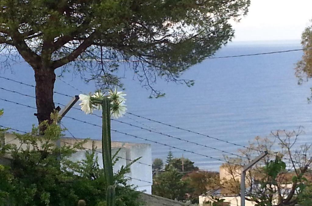 Torre Vado House | ByB Cà del Mar