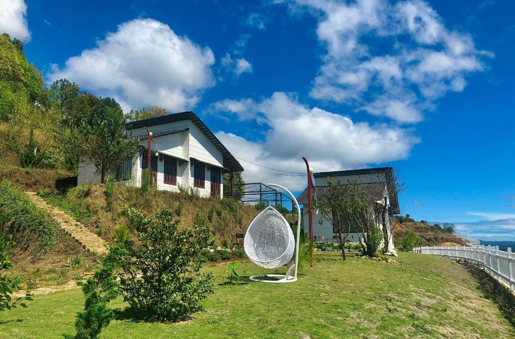 Da Lat Cabin | Cánh Đồng Mây Homestay Đà Lạt