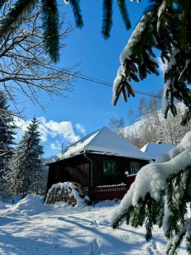 Risca House | Căsuța din Vale