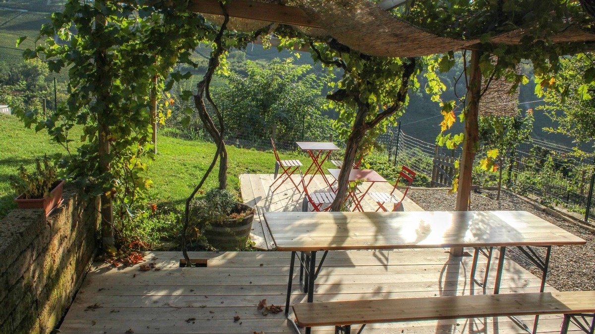 Neive Bed & Breakfast | Ca dei Currà