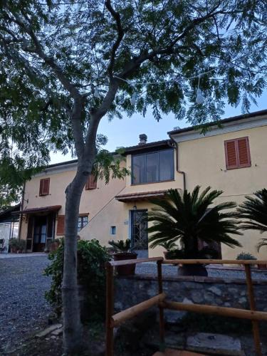 Rosignano Marittimo Apartment | Casale rustico Poggiarino diB&L