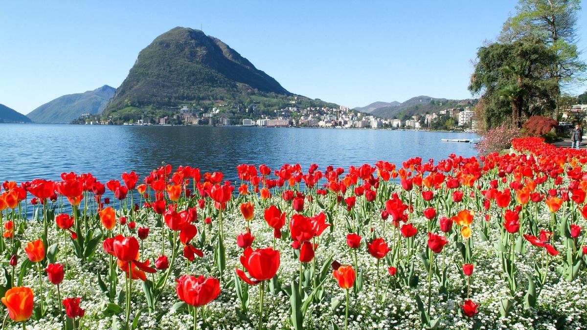 Pregassona Apartment | Ca' Runchett, Lugano, Switzerland