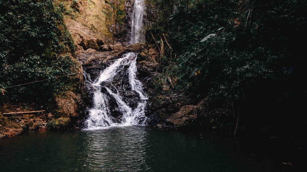 Bayamon Cabin | Cabaña Acogedora y Romántica con Vista a las Montañas a Pasos del Río y Cascada