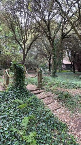 Miengo Apartment | Cabaña de ensueño en el bosque y junto al mar