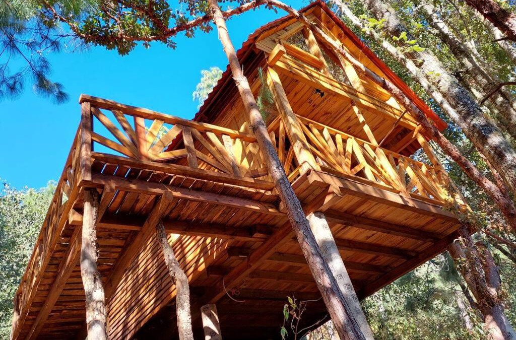 San Jose del Pacifico Ski Chalet | Cabaña en el Bosque de San José del Pacífico 4