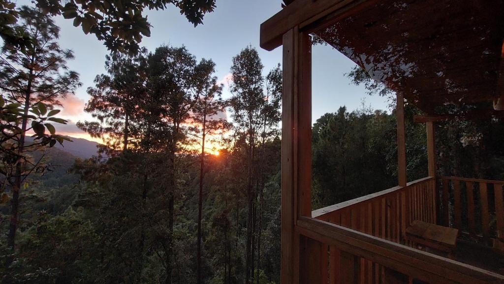 San Jose del Pacifico Ski Chalet | Cabaña en el Bosque de San José del Pacífico