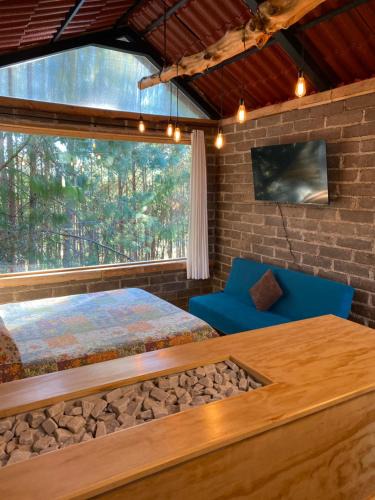Zacatlan Hotel | Cabaña en el bosque